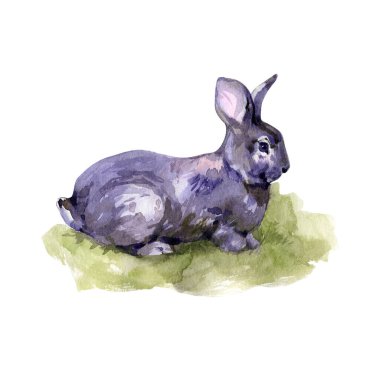 Kulakları havada, mutlu Paskalya suluboya tavşanları. İzole illüstrasyon