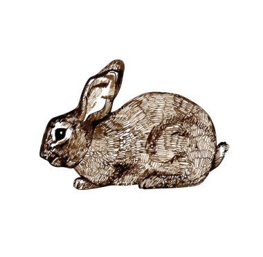Tavşan, tavşan, hayvan, mürekkep, el. Resim çizimi. Çizim çizimi, boyama kitabı sayfası için.