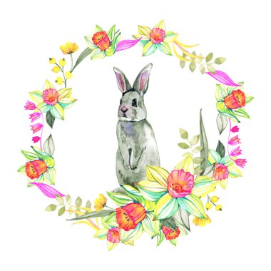 Tatlı Paskalya tavşanı, tavşan ve bahar çiçekleri çizen suluboya. Beyaz arka planda izole edilmiş. Tatil için dekorasyon. Beyaz ve mavi çiçekler..