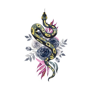 Yılan ve siyah güller. Cadılar Bayramı karanlık estetiği. Suluboya çizimi beyaz arkaplanda izole edildi.