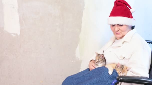 Seniorin mit Katzen im Weihnachtsmannhut sitzt im Rollstuhl — Stockvideo