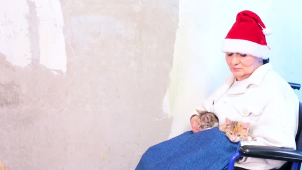 Donna anziana con gatti in cappello da Babbo Natale seduta in sedia a rotelle — Video Stock