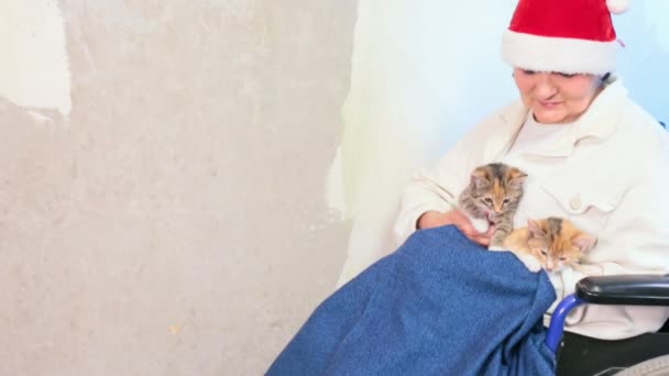 Mujer mayor con gatos en sombrero de santa sentado en silla de ruedas — Vídeo de stock