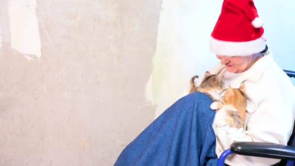 Donna anziana con gatti in cappello da Babbo Natale seduta in sedia a rotelle — Video Stock