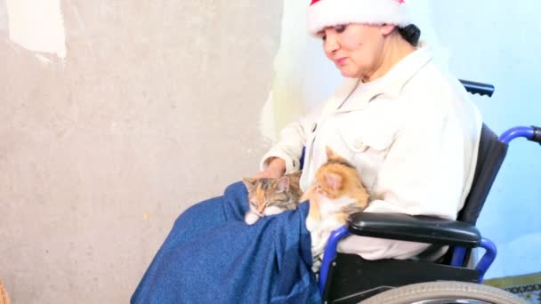 Старшая женщина с кошками в шляпе Санты сидит в инвалидном кресле — стоковое видео
