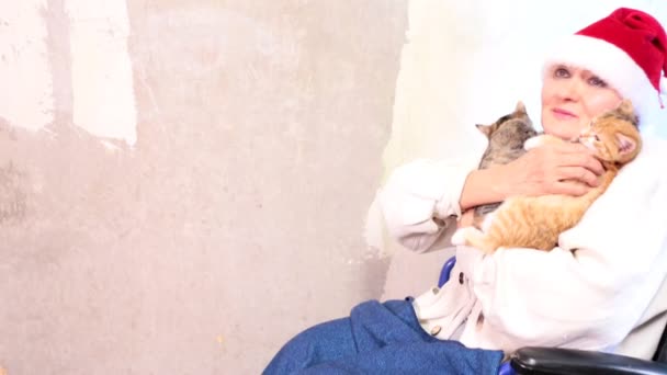 Ανώτερος γυναίκα με γάτες στην το καπέλο santa που κάθεται σε αναπηρικό καροτσάκι — Αρχείο Βίντεο