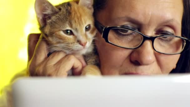 Une femme âgée à l'ordinateur avec un chaton — Video