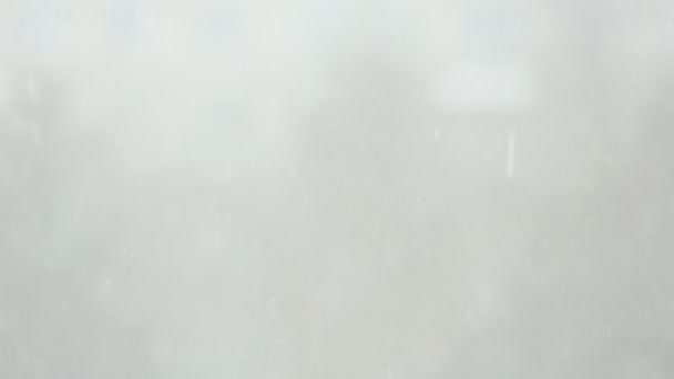 新的一年霜背景 — 图库视频影像