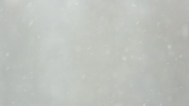 Caída de nieve — Vídeos de Stock
