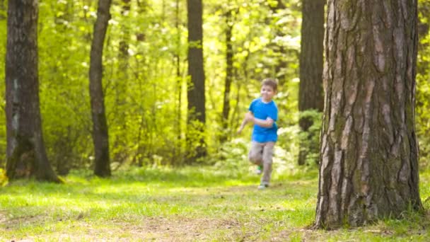 Little boy playing sports jogging in park — Stock Video