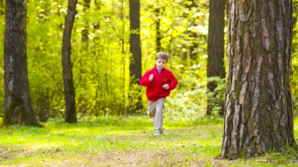 Little boy playing sports jogging in park — Stock Video