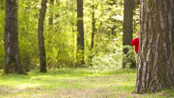 Kleine jongen sporten joggen in het park — Stockvideo