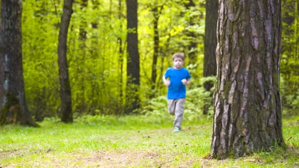 Kleine jongen sporten joggen in het park — Stockvideo