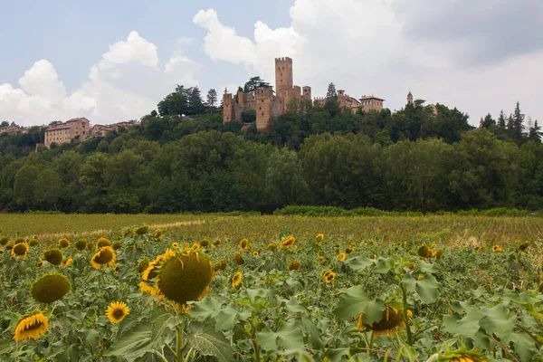 Vista Verão Castell Arquato Emilia Romagna Com Girassóis Fundo Itália — Fotografia de Stock