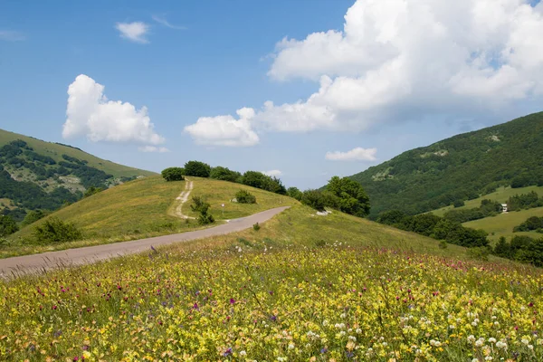 Talyan Dağının Bahar Mevsiminde Kır Çiçekleriyle Panoramik Manzarası — Stok fotoğraf