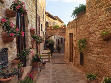 İtalya 'nın Perugia eyaletinin Umbria kentindeki Spello, çiçekli ve pitoresk köy manzarası