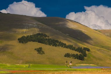 Pian Grande 'nin ünlü Castelluccio di Norcia çiçekleri sırasındaki yaz manzarası