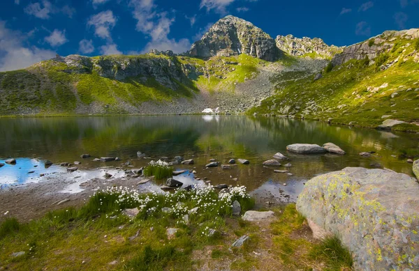Dzika Panorama Wokół Jeziora Bombasel Dolomiti Miasto Cavalese Włochy — Zdjęcie stockowe