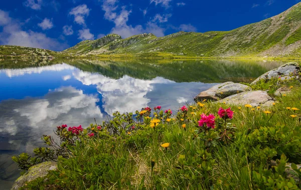 Blick Auf Den See Von Bombasel Mit Wilden Blumen Den — Stockfoto