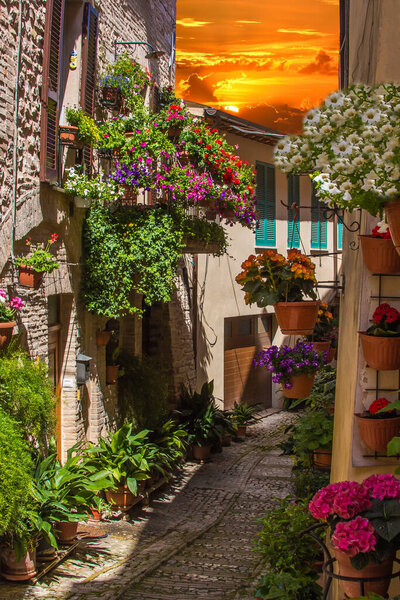 Picturesque street of Spello medieval town during summer sunset Italy