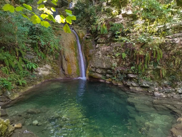 Вид Небольшой Водопад Изумрудной Водой Летнем Лесу Область Марке Италия — стоковое фото