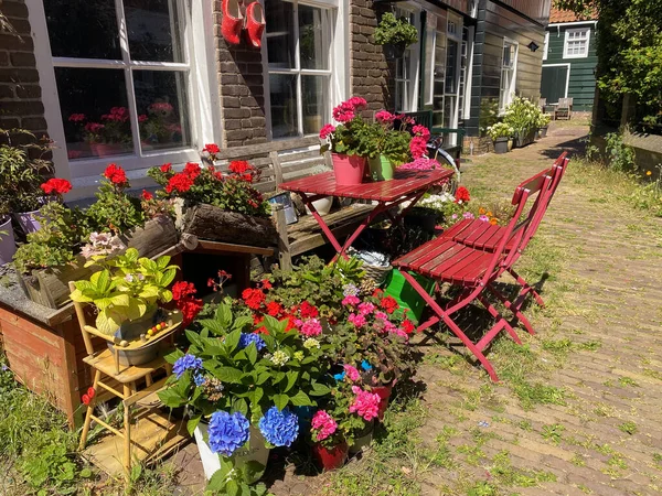 Typical garden with flowers in the north holland Europe