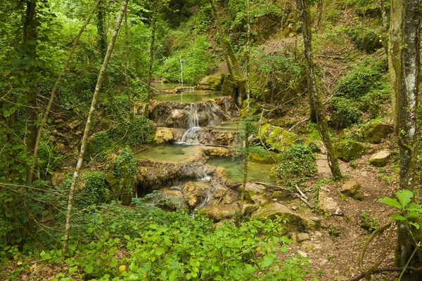 View of beautiful natural pool in the green Umbria forest Italy