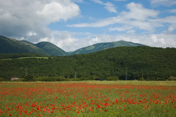 Talya Bahar Mevsiminde Umbria Norcia Yakınlarındaki Güzel Kırsal Alan — Stok fotoğraf