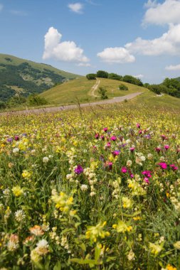 İtalya 'nın Umbria bölgesinde bahar aylarındaki dağ yolunun panoramik manzarası.