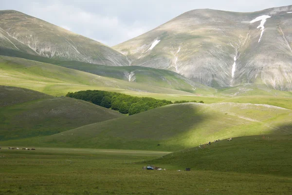 Vista Colinas Verdes Región Umbría Italia — Foto de Stock