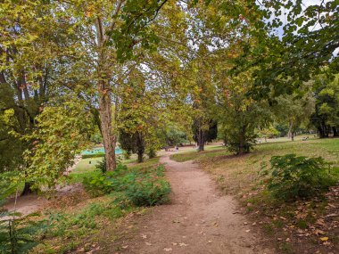 Roma Lazio İtalya 'da güneşli bir Ekim gününde Villa Borghese' de sonbahar sokağı