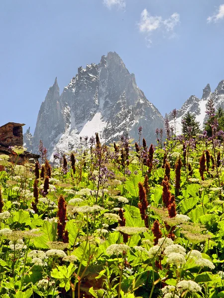 A chamonix-régió-hegység — стокове фото