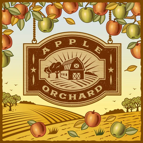 Apple Orchard — Stock Vector