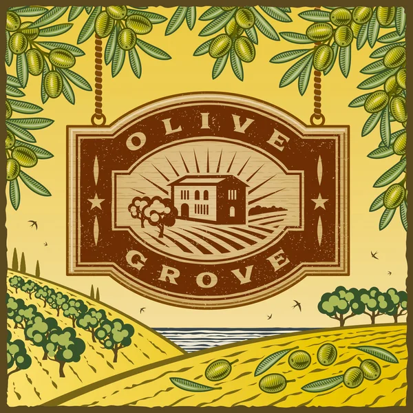 Retro Olive Grove - Stok Vektor