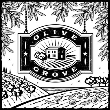 Retro olive grove siyah ve beyaz