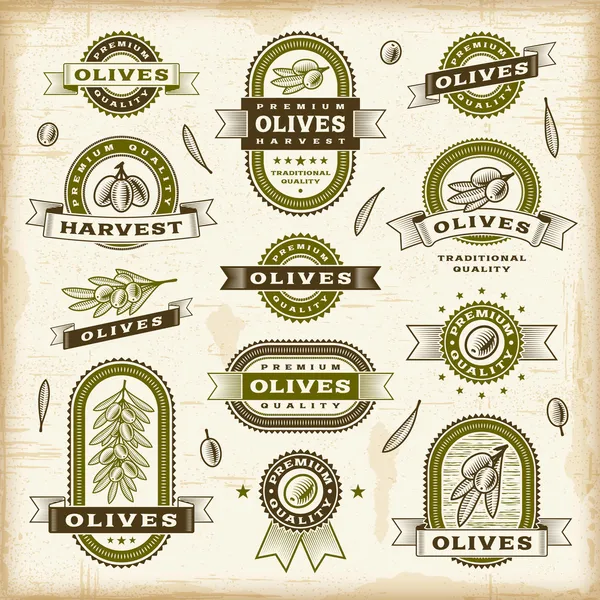 Set etichette olive vintage Illustrazioni Stock Royalty Free