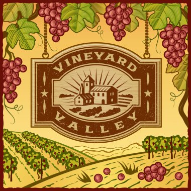 Vineyard Vadisi