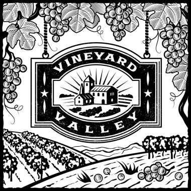 Vineyard Vadisi siyah ve beyaz
