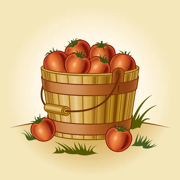 Cubo retro de tomates — Vector de stock