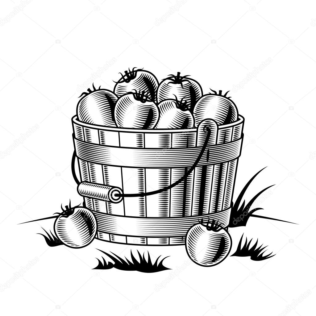 Retro bucket of tomatoes black and white