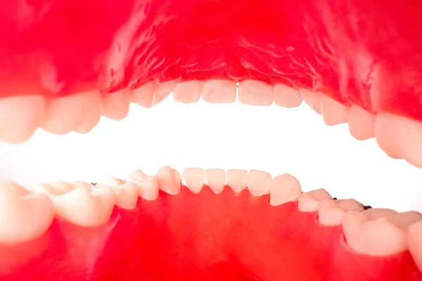 Boca Con Dientes Desde Interior Sobre Fondo Blanco Lugar Para — Foto de Stock