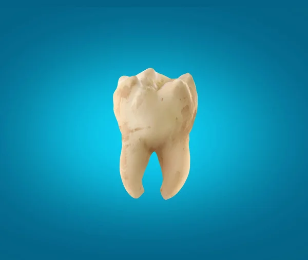 Molar tooth. beauty and health. tooth cleaning and personal care. Poster Concept