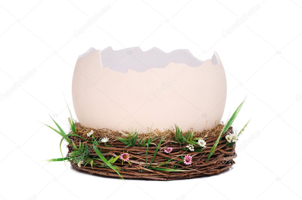 Prop egg shell — Stock Photo © iagodina 26723055