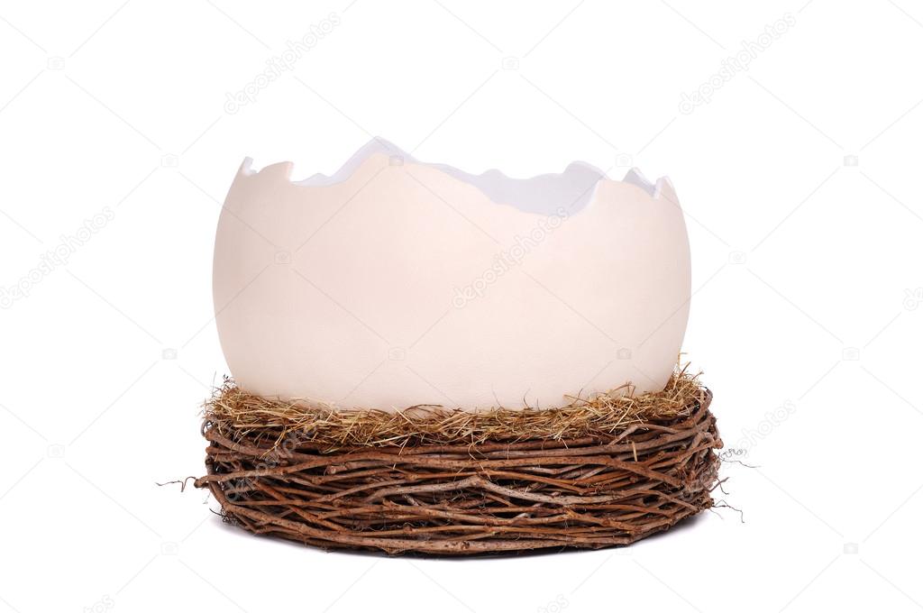 Posing prop egg shell ⬇ Stock Photo, Image by © iagodina 26723063