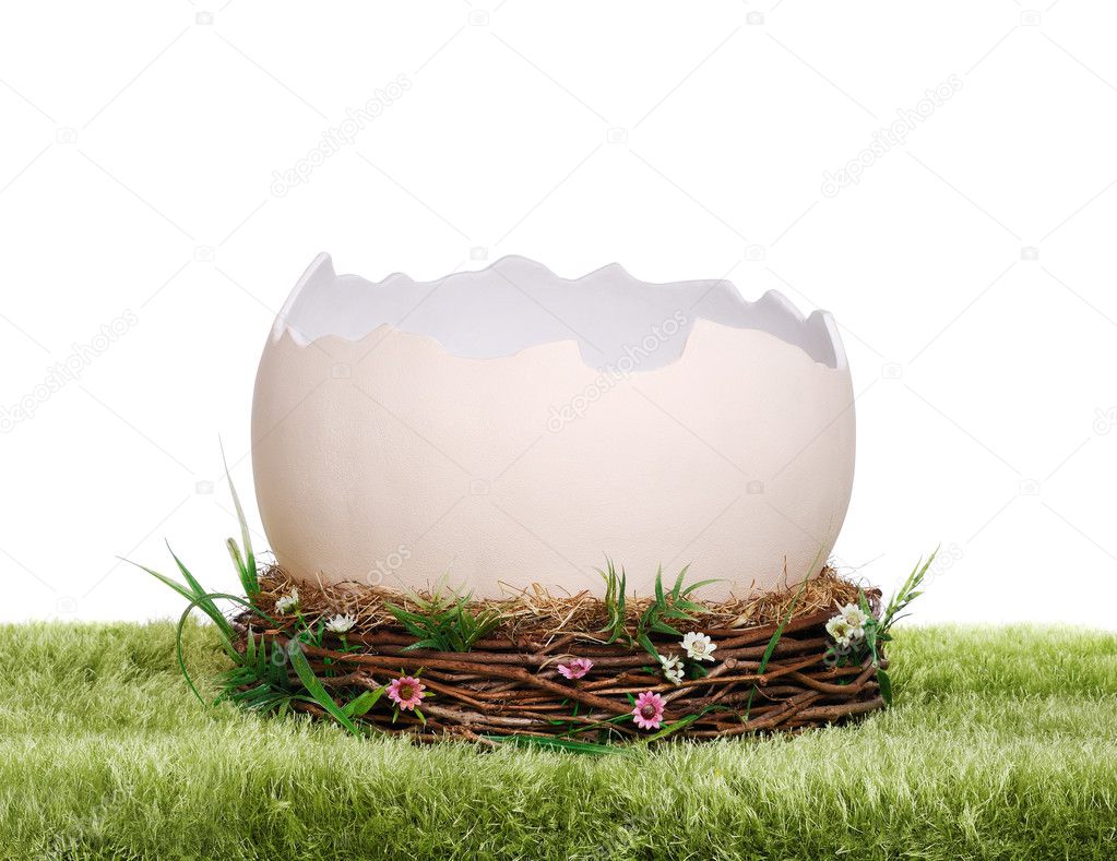 Prop Egg Shell Stock Photo Image By C Iagodina 26723065