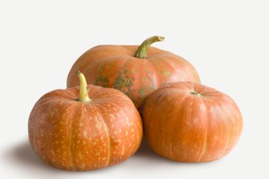 Beyaz arka plan üzerinde izole üç kabak