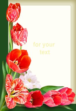 çerçeve. Şablon. boş. tatil Tebrikler.