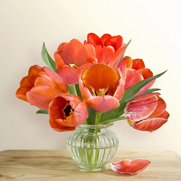 Červené tulipány. Zátiší. — Stock fotografie