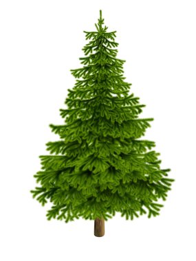 Yeni yıl. Noel. Ladin. Yılbaşı çeki düzen vermek. Beyaz arka plan... illüstrasyon.
