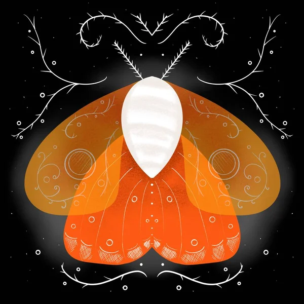 Moth Vzorem Křídlech Pozadí Vzory Digitální Ilustrace — Stock fotografie